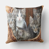 Coussin Panier rempli de chatons (Verso)