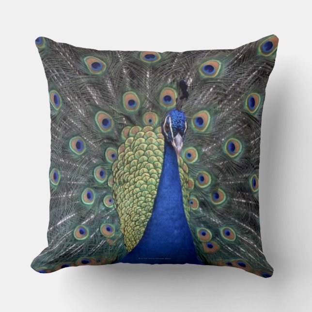 Coussin Paon (Recto)
