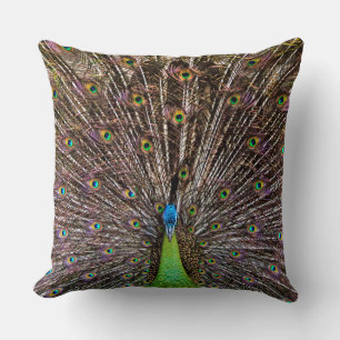Coussin Paon
