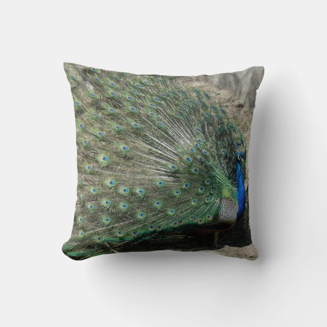 Coussin Paon Magnifique (Recto)
