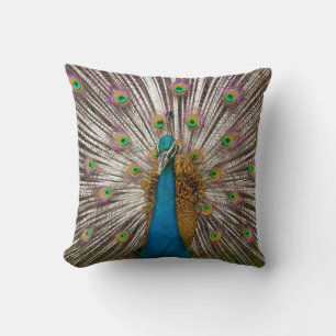Coussin Paon Pacifique