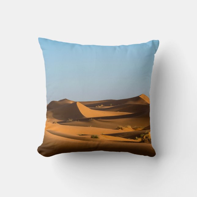COUSSIN PAPIER MUR DESERT 3D (Recto)