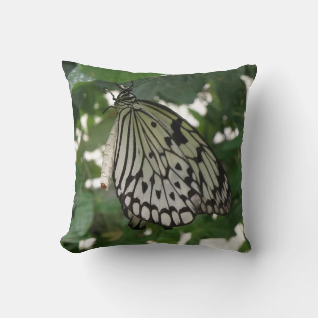 Coussin Papier Tropical Kite Butterfly (Recto)