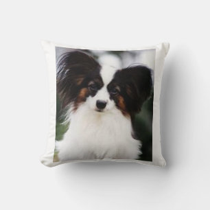 Coussin Papillon 2