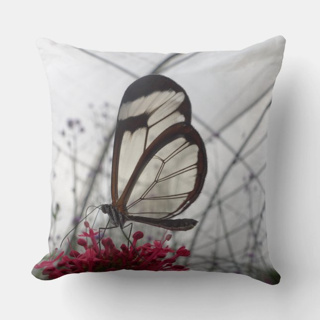 Coussin Papillon à ailes de verre sur l'oreiller à jet de  (Recto)