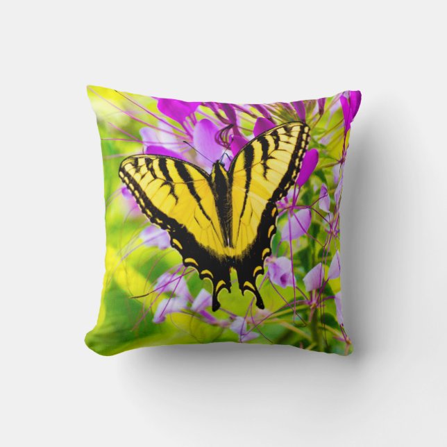 Coussin Papillon à queue jaune (Recto)
