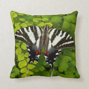 Coussin Papillon à queue noire américain