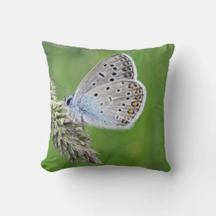 Coussin Papillon bleu commun sur l'herbe