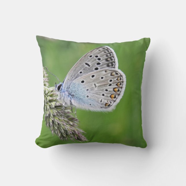 Coussin Papillon bleu commun sur l'herbe (Recto)