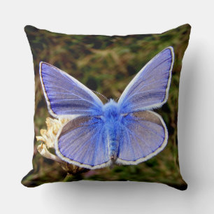 Coussin Papillon bleu nain