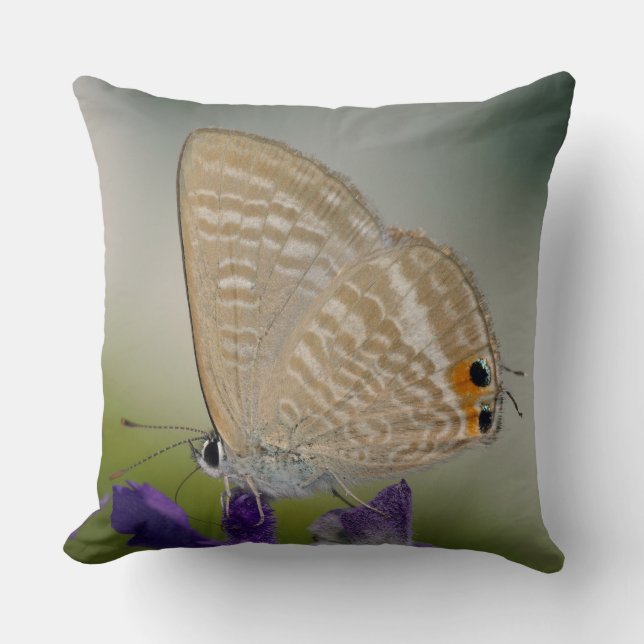 Coussin Papillon bleu zèbre commun (Recto)