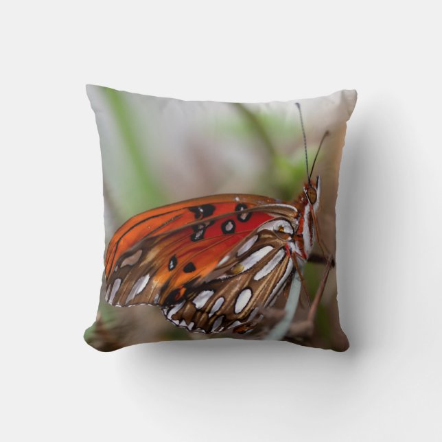 Coussin papillon - California Gulf Fritillaire (Recto)