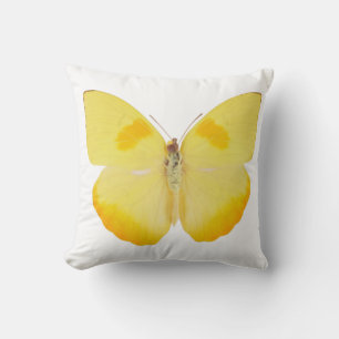 Coussin Papillon commun de jaune d'herbe