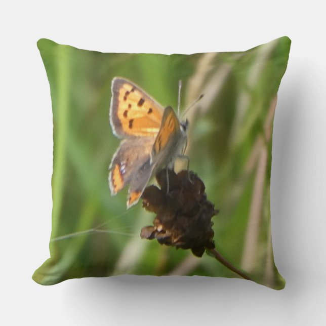 Coussin Papillon de cuivre commun sur l'oreiller à lancer  (Recto)