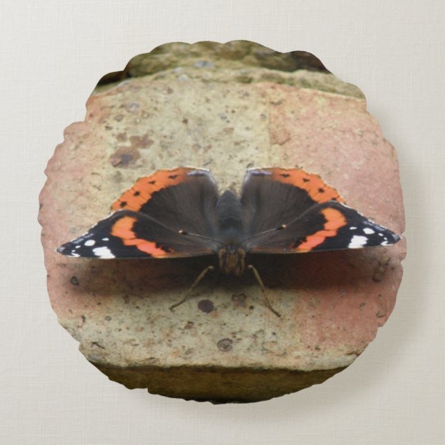 Coussin papillon de l'amiral rouge (Devant)