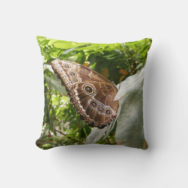 Coussin Papillon de Morpho (Recto)