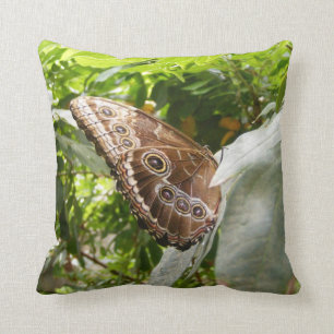 Coussin Papillon de Morpho