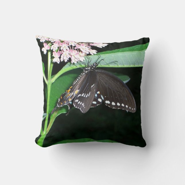 Coussin Papillon de nuit Papillon noir à queue fourchue à  (Recto)