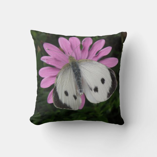 Coussin papillon et rose (Recto)