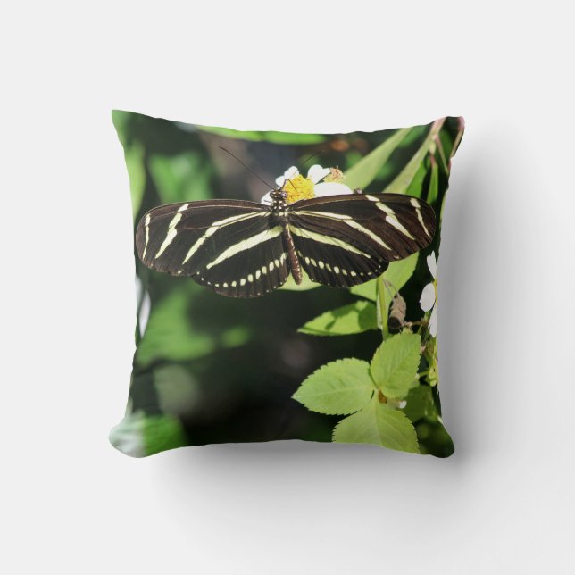 Coussin Papillon Heliconius charithonia (Recto)