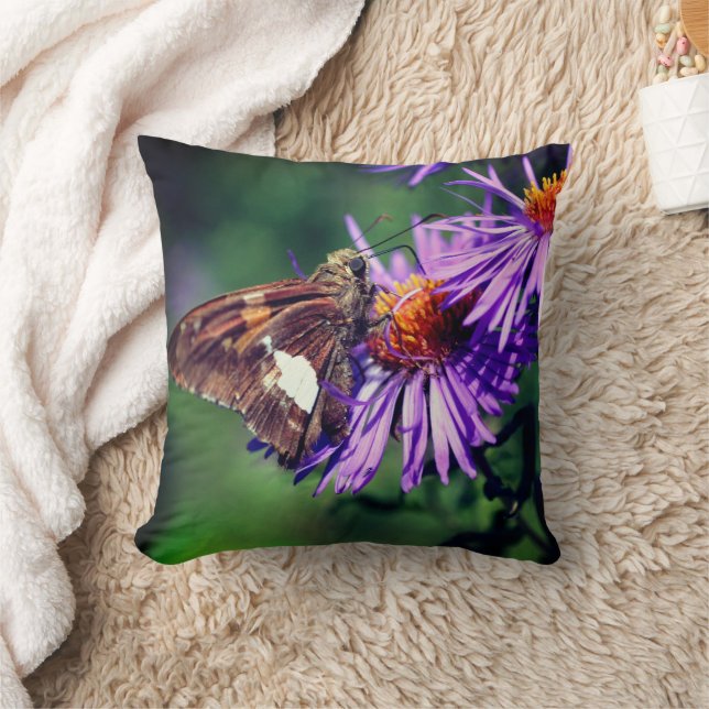 Coussin Papillon Lady Peint Sur Fleur Aster Sauvage (Couverture)