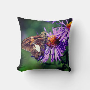 Coussin Papillon Lady Peint Sur Fleur Aster Sauvage