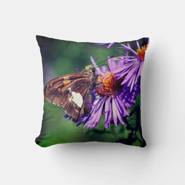 Coussin Papillon Lady Peint Sur Fleur Aster Sauvage (Recto)