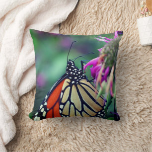 Coussin Papillon Monarque En Fleur Fermer