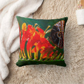 Coussin Papillon morpho bleu sur les fleurs de Crocosmia L (Couverture)