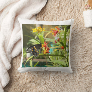 Coussin Papillon noir avale #2