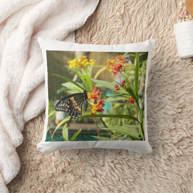 Coussin Papillon noir avale #2 (Couverture)