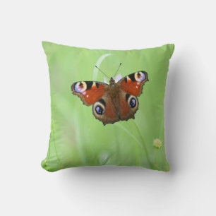 Coussin Papillon paon