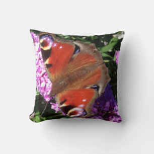 Coussin Papillon paon et bouddlia