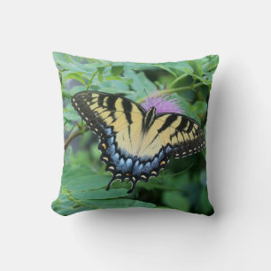 Coussin Papillon Papilio glaucus de l'Est