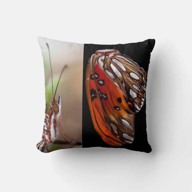 Coussin papillon - Papillon déconstruit (Recto)