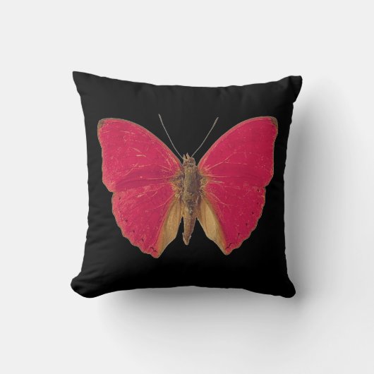 Coussin Papillon rose double face (Recto)