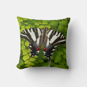 Coussin Papillon swallowtail américain
