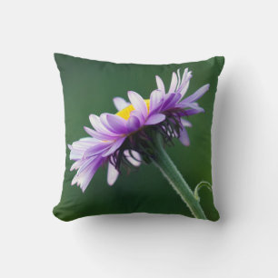Coussin Pâquerette alpine