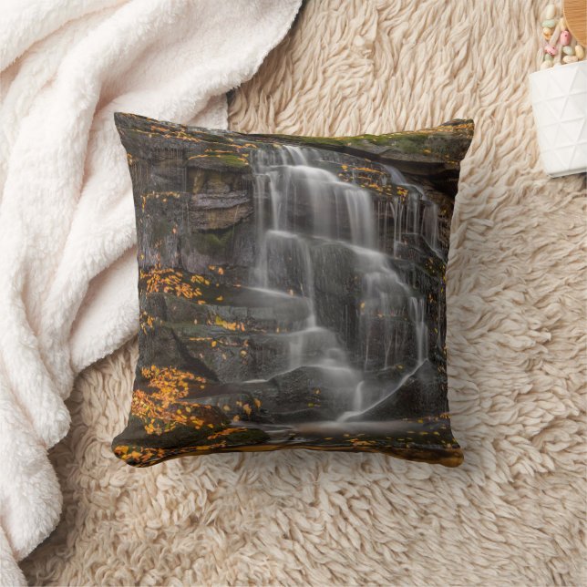 Coussin Parc d'État de Blackwater Falls (Couverture)