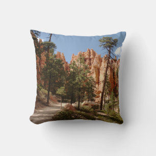 Coussin Parc national Bryce Canyon Trail