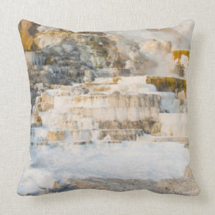 Coussin Parc national de Yellowstone