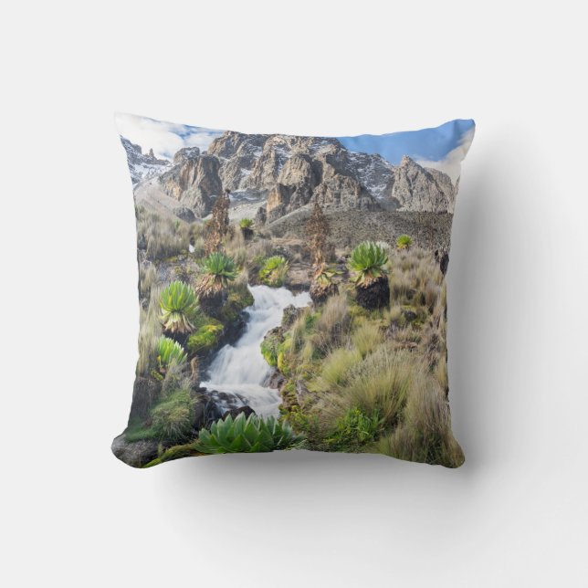 Coussin Parc national du mont Kenya central (Recto)