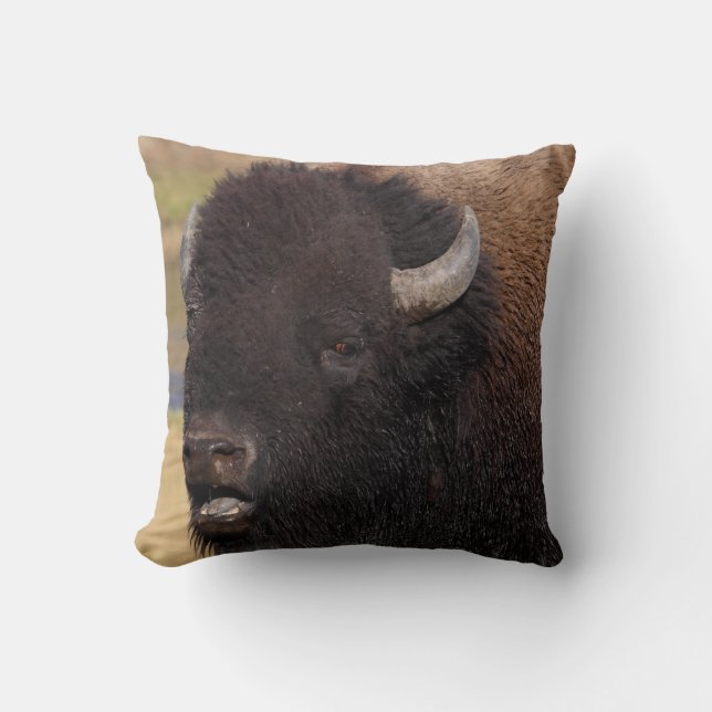 Coussin parler de bison de taureau (Recto)