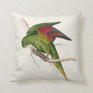 Coussin Parrakeet d'Edward Lear #9-Maton