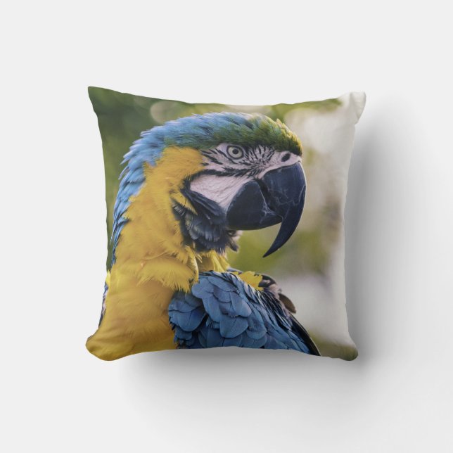 Coussin Parrot Profile Portrait Photograph (Recto)
