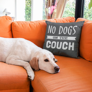 Coussin Pas de chiens sur le canapé  Humoristique
