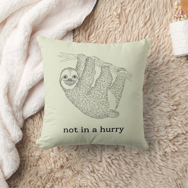 Coussin pas pressé (Couverture)