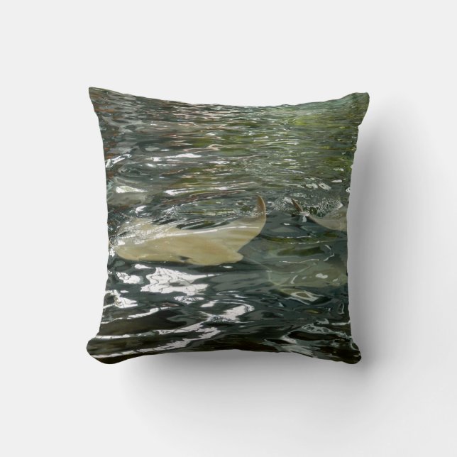 Coussin Pastenague (Recto)