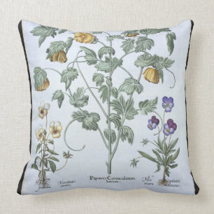 Coussin Pavot à cornes jaune, du 'Hortus Eystettensis