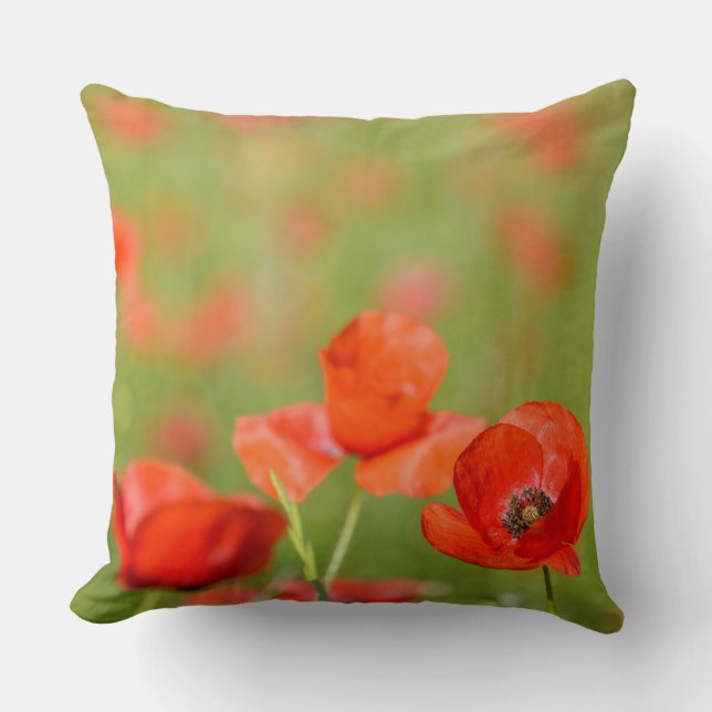 Coussin Pavots dans un carreau de champ de pavot (Recto)